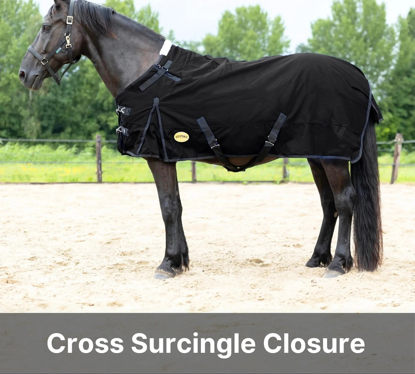 Resistance Premium 1200 Denier Waterproof Horse Turnout Blanket - 300 Grams Fill NewEngland Tack