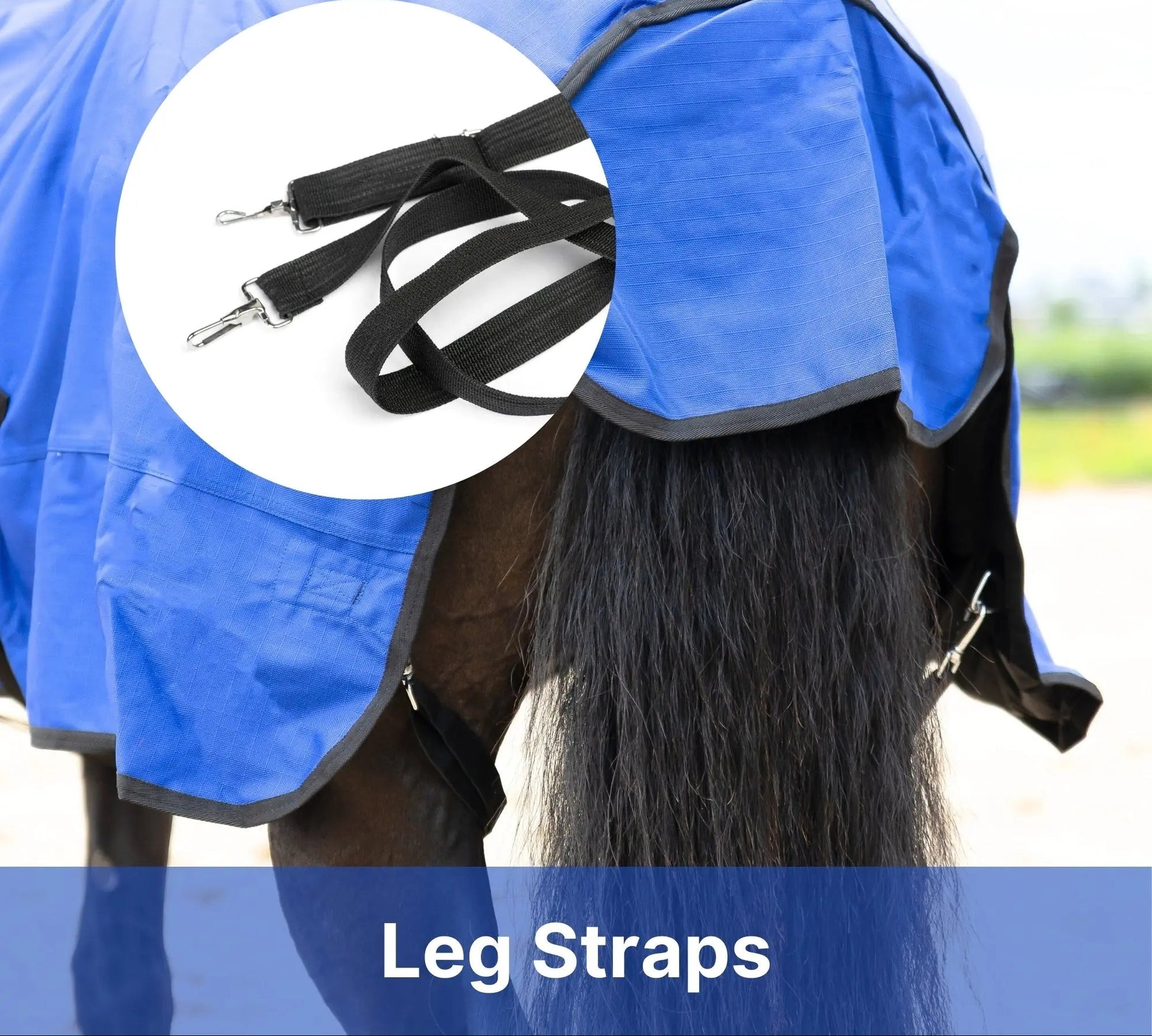 Resistance Premium 1200 Denier Waterproof Horse Turnout Blanket - 300 Grams Fill NewEngland Tack