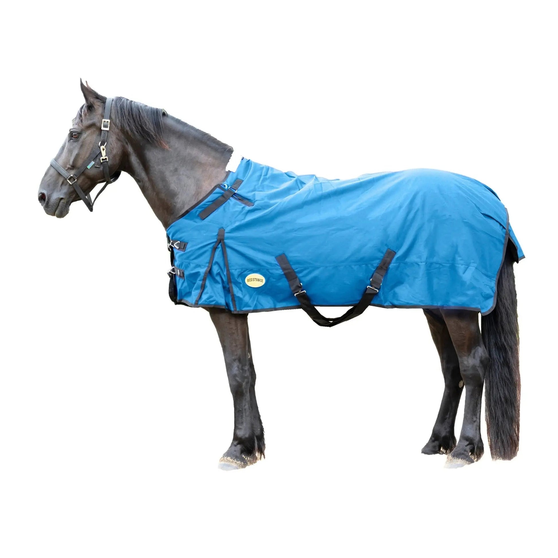 Resistance Premium 1200 Denier Waterproof Horse Turnout Blanket - 300 Grams Fill NewEngland Tack