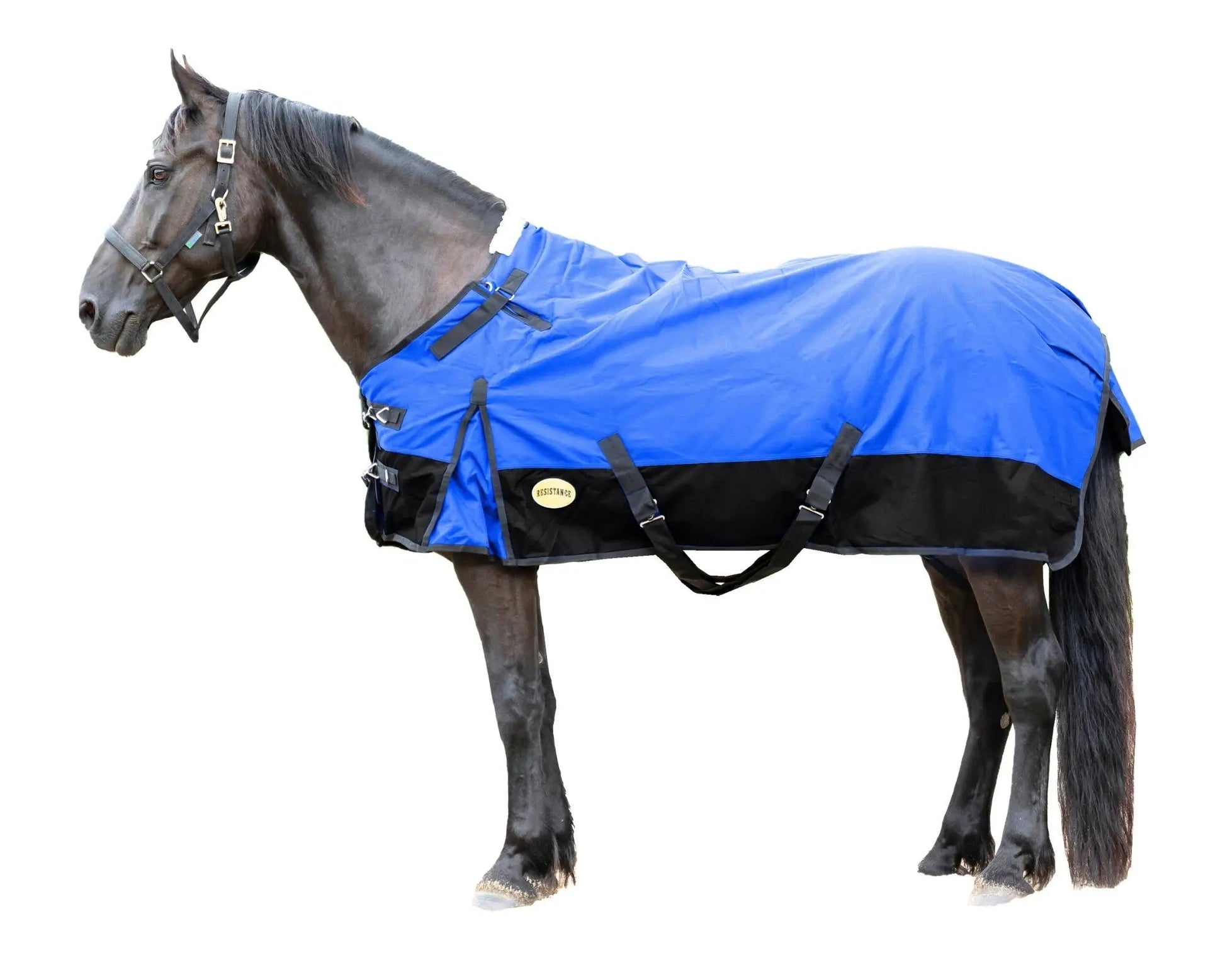 Resistance Premium 1200 Denier Waterproof Horse Turnout Blanket - 300 Grams Fill NewEngland Tack
