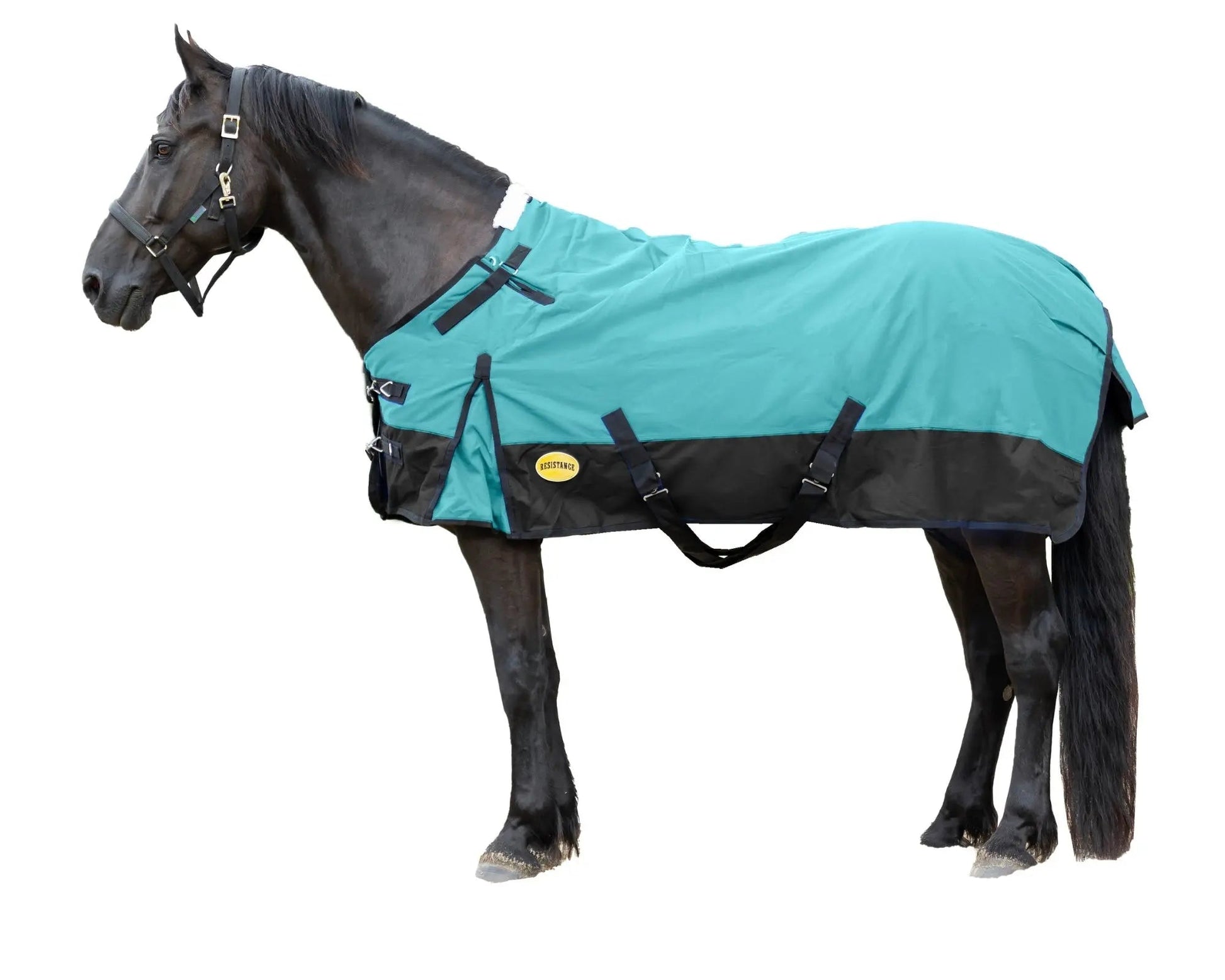 Resistance Premium 1200 Denier Waterproof Horse Turnout Blanket - 300 Grams Fill NewEngland Tack