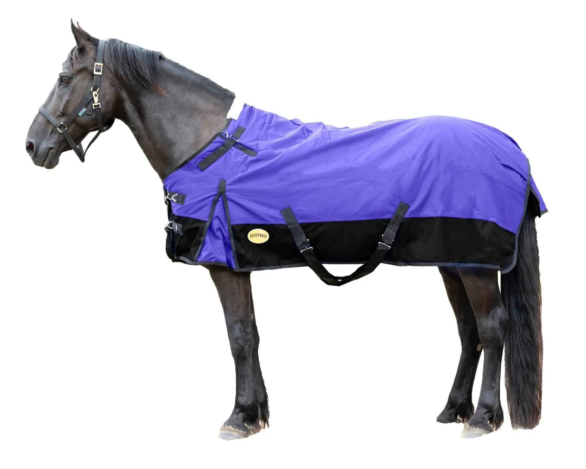 Resistance Premium 1200 Denier Waterproof Horse Turnout Blanket - 300 Grams Fill NewEngland Tack