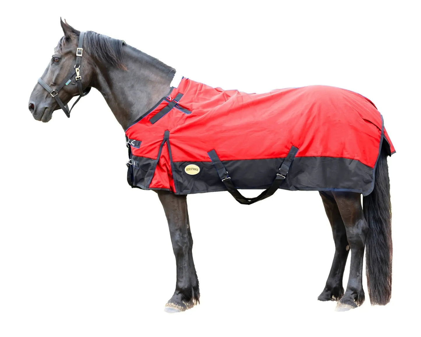 Resistance Premium 1200 Denier Waterproof Horse Turnout Blanket - 300 Grams Fill NewEngland Tack