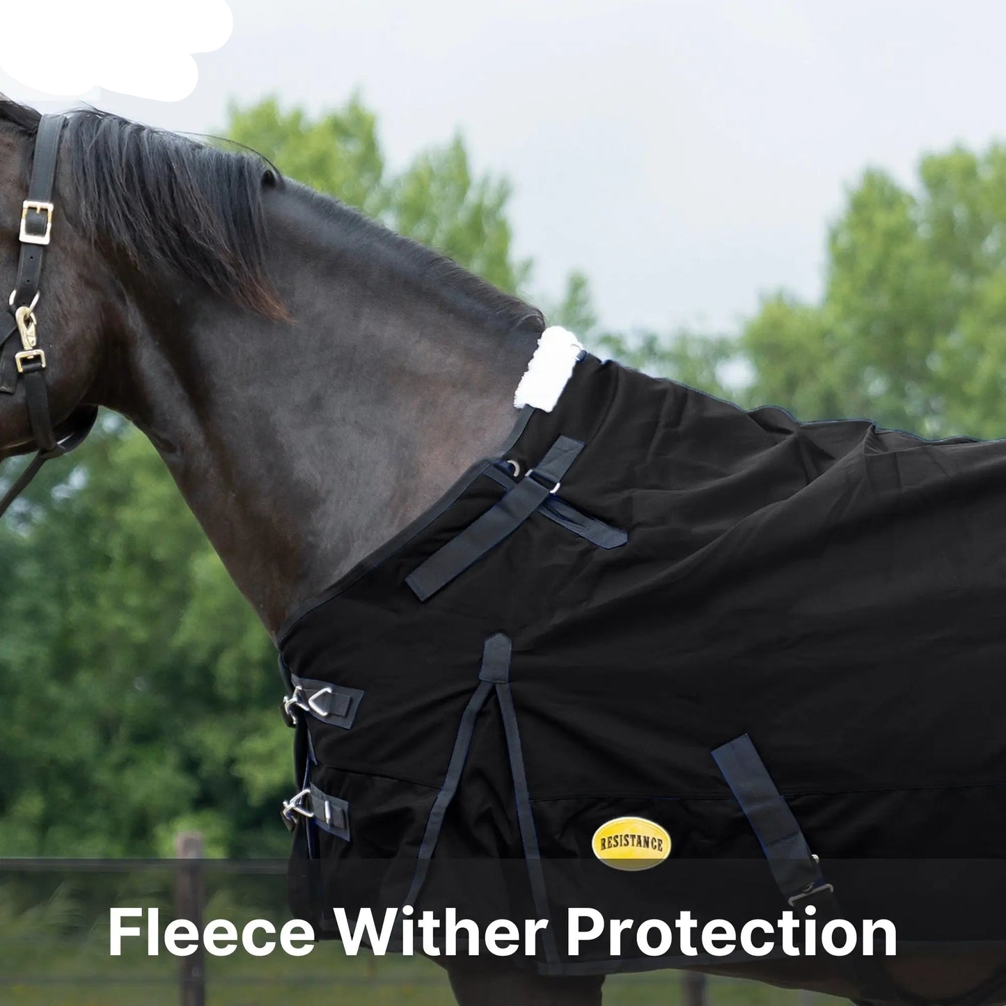 Resistance Premium 1680 Denier Waterproof Horse Turnout Blanket - 300 Grams Fill NewEngland Tack
