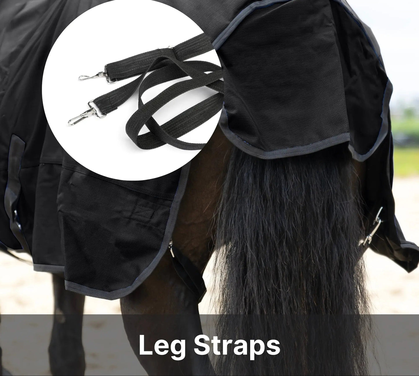 Resistance Premium 1680 Denier Waterproof Horse Turnout Blanket - 300 Grams Fill NewEngland Tack