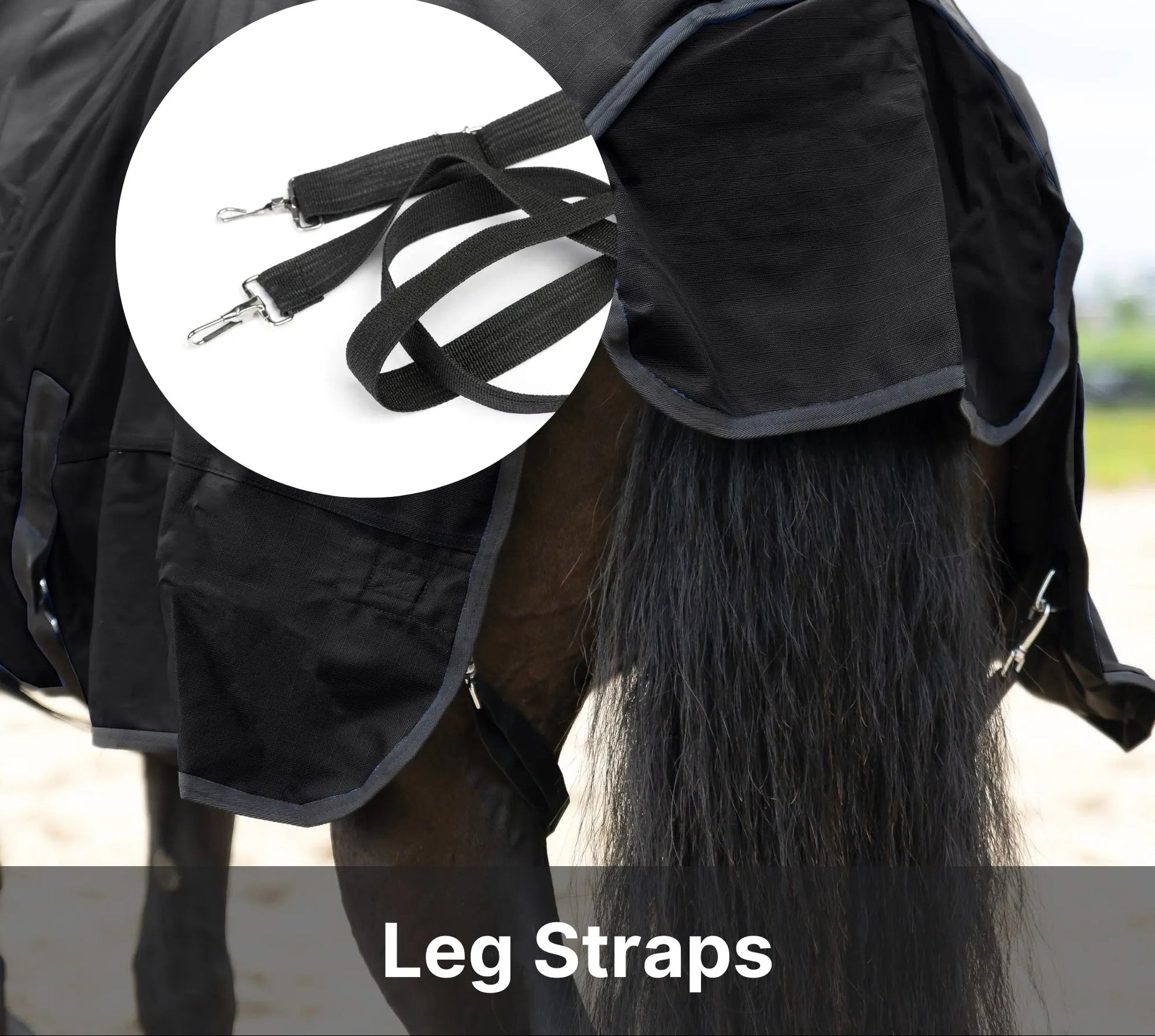 Resistance Premium 1680 Denier Waterproof Horse Turnout Blanket - 300 Grams Fill NewEngland Tack