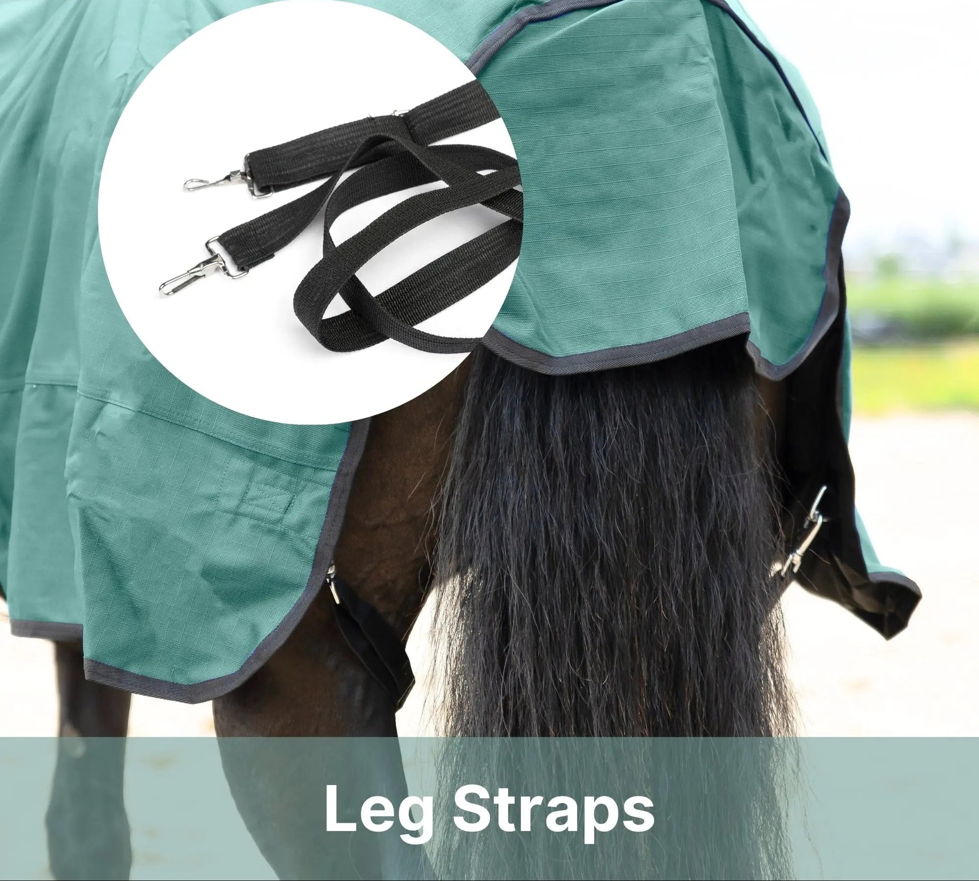 Resistance Premium 1680 Denier Waterproof Horse Turnout Blanket - 300 Grams Fill NewEngland Tack