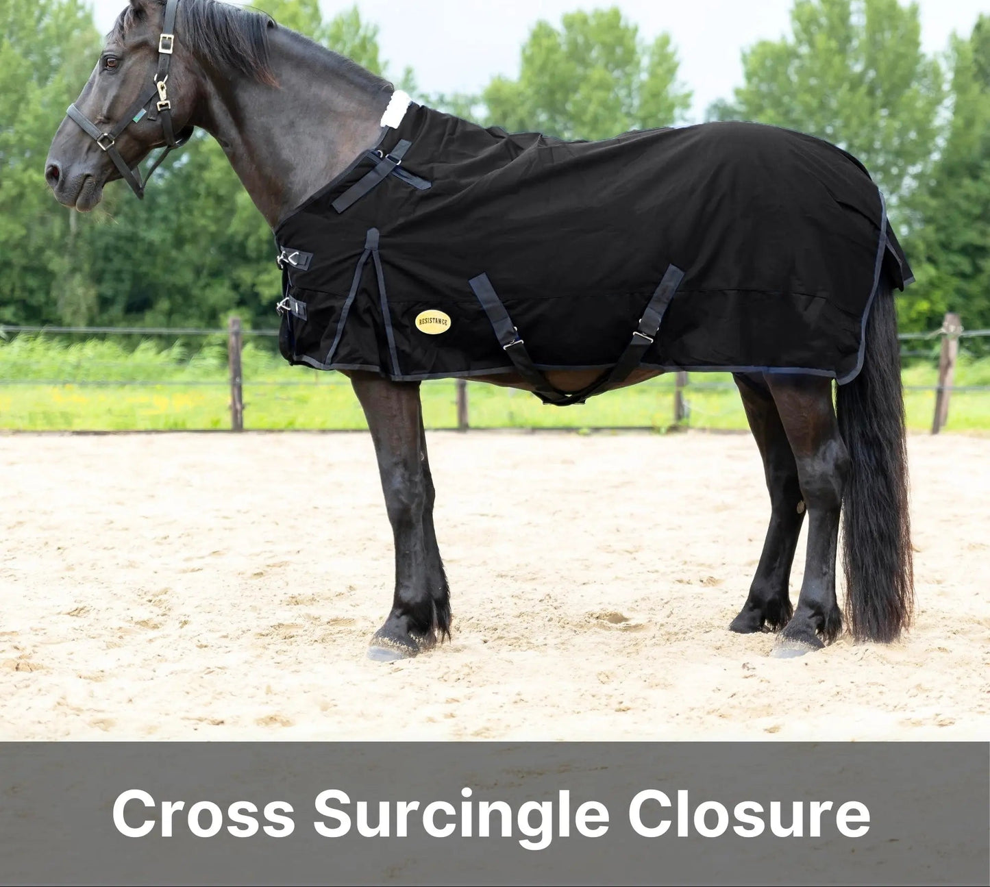 Resistance Premium 1680 Denier Waterproof Horse Turnout Blanket - 300 Grams Fill NewEngland Tack