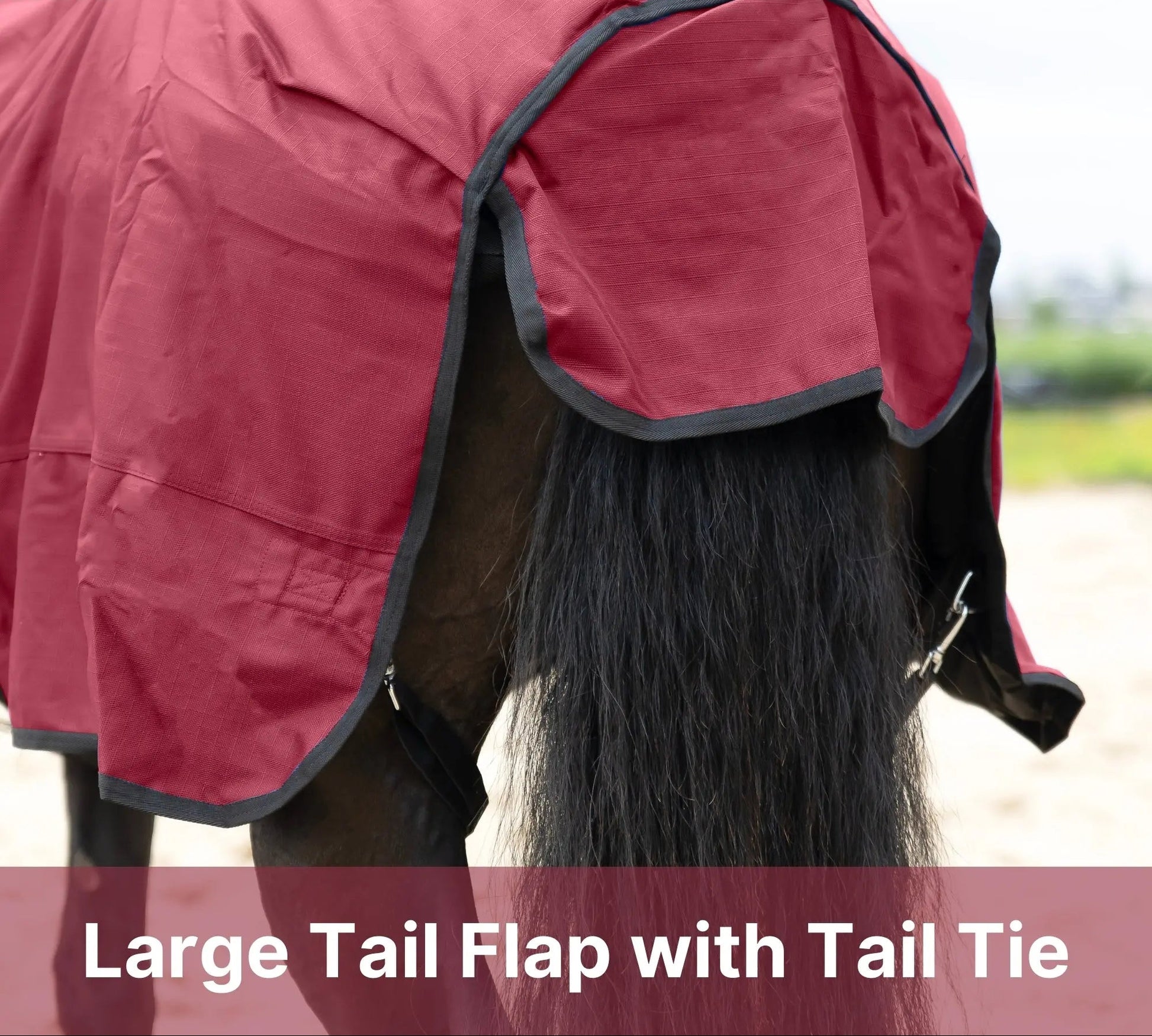 Resistance Premium 1680 Denier Waterproof Horse Turnout Blanket - 300 Grams Fill NewEngland Tack