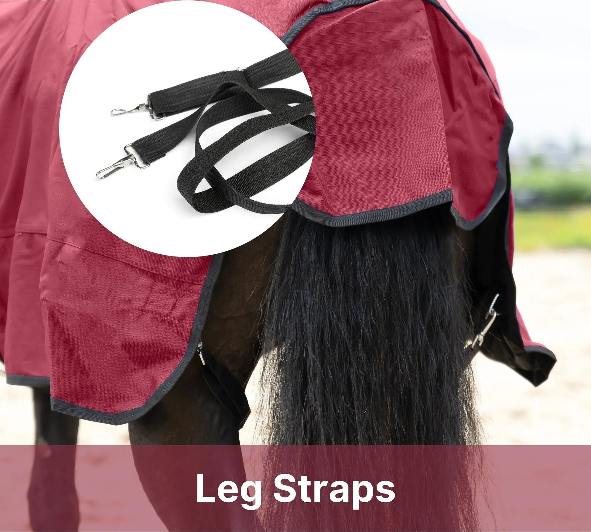 Resistance Premium 1680 Denier Waterproof Horse Turnout Blanket - 300 Grams Fill NewEngland Tack