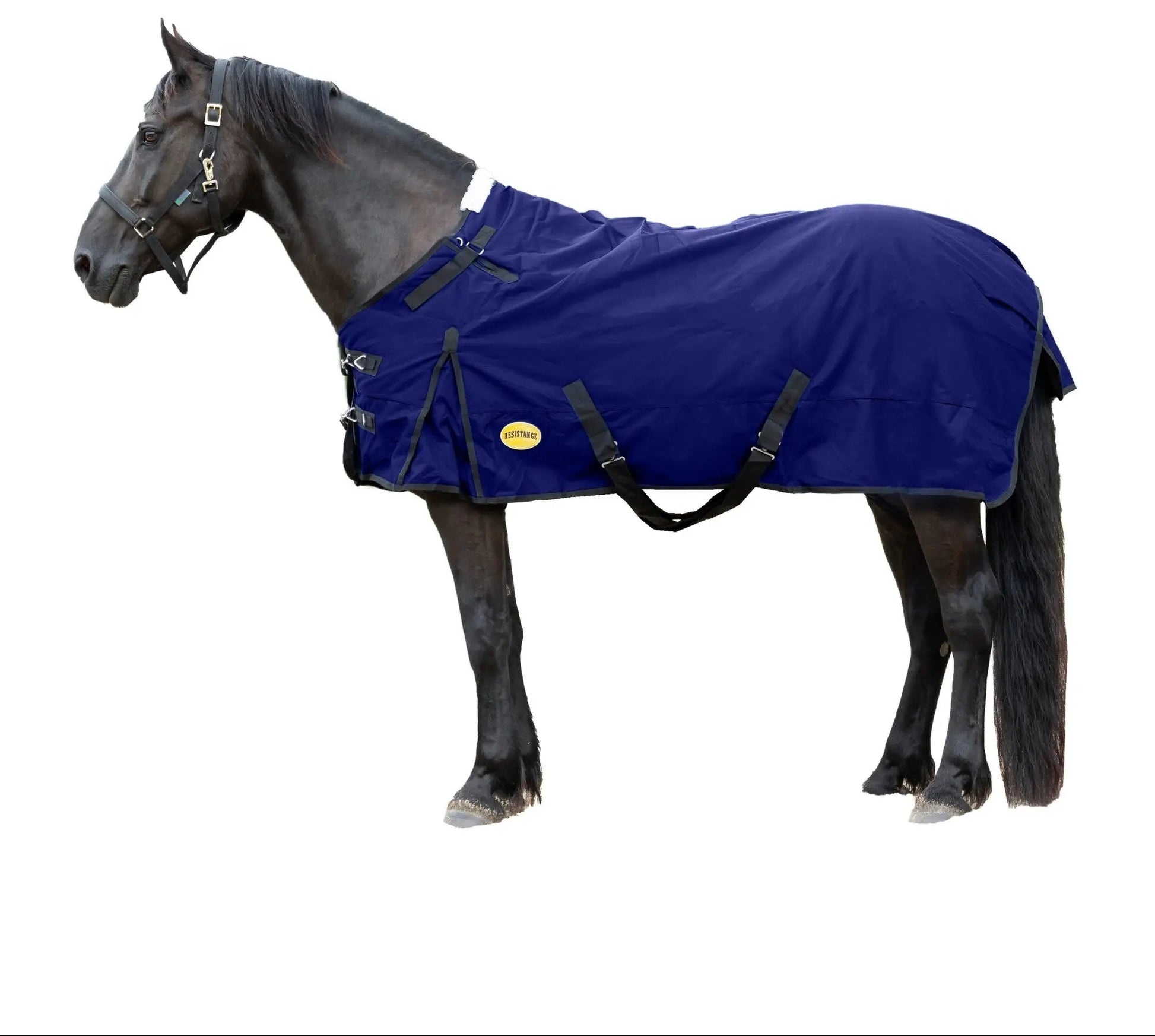 Resistance Premium 1680 Denier Waterproof Horse Turnout Blanket - 300 Grams Fill NewEngland Tack