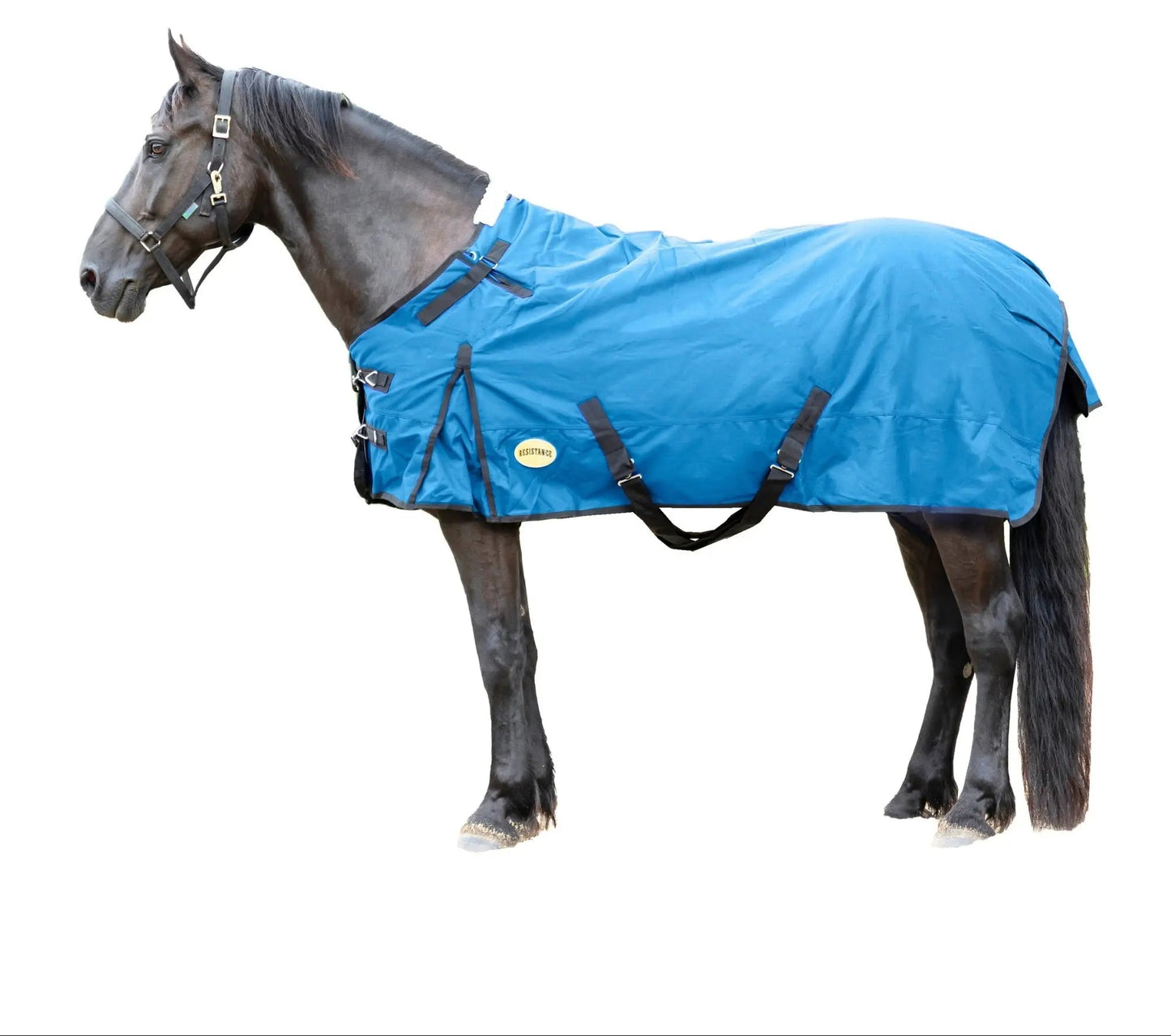 Resistance Premium 1680 Denier Waterproof Horse Turnout Blanket - 300 Grams Fill NewEngland Tack