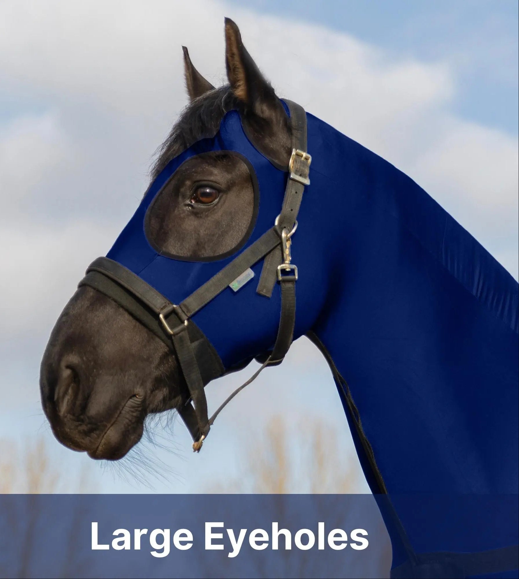 Resistance Premium Horse Full Body Slinky with Full Zipper Face and Forelock Saver - Lycra Material NewEngland Tack