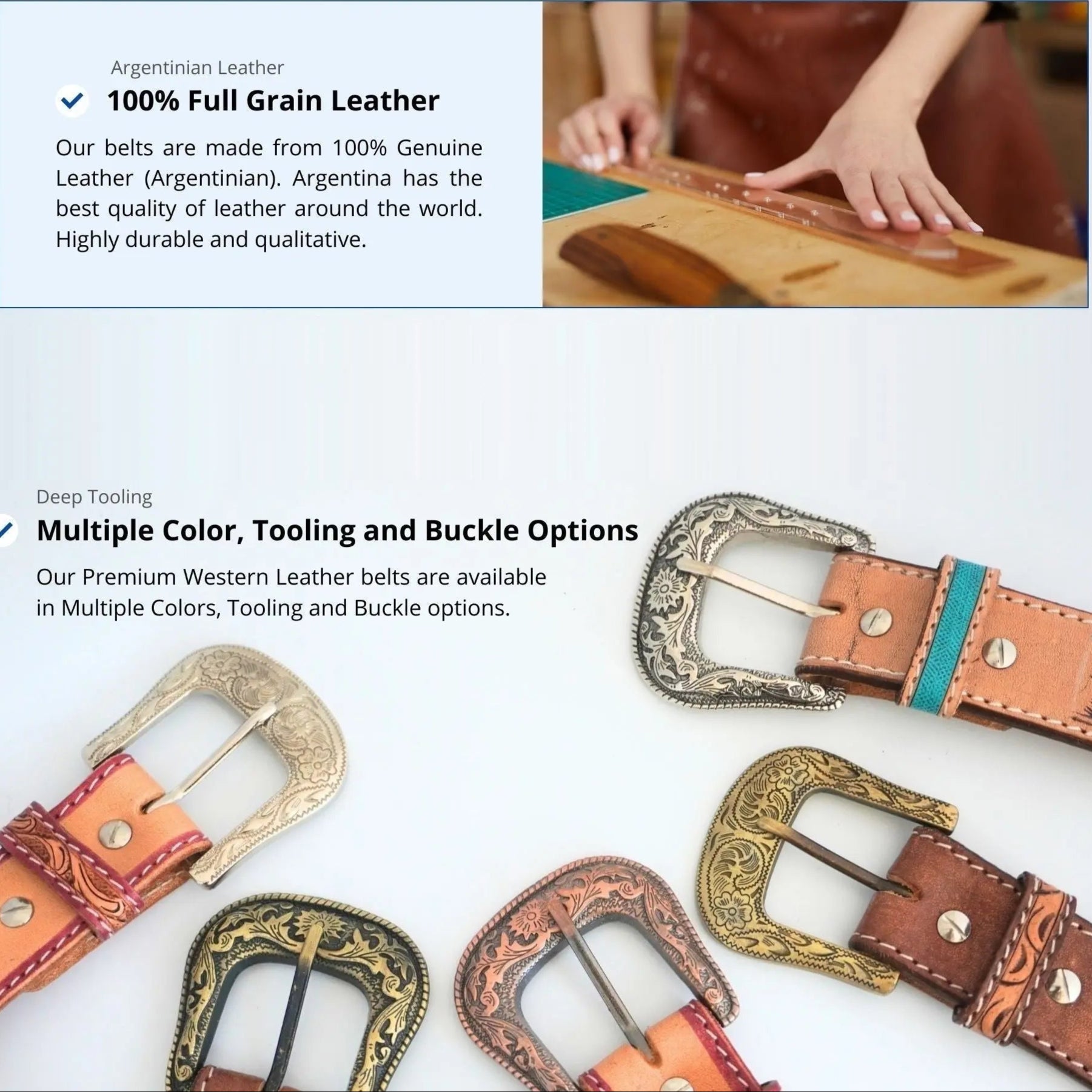 Resistance Western Cowgirl Cowboy Floral Tooled  Argentinian Leather Belt NewEngland Tack