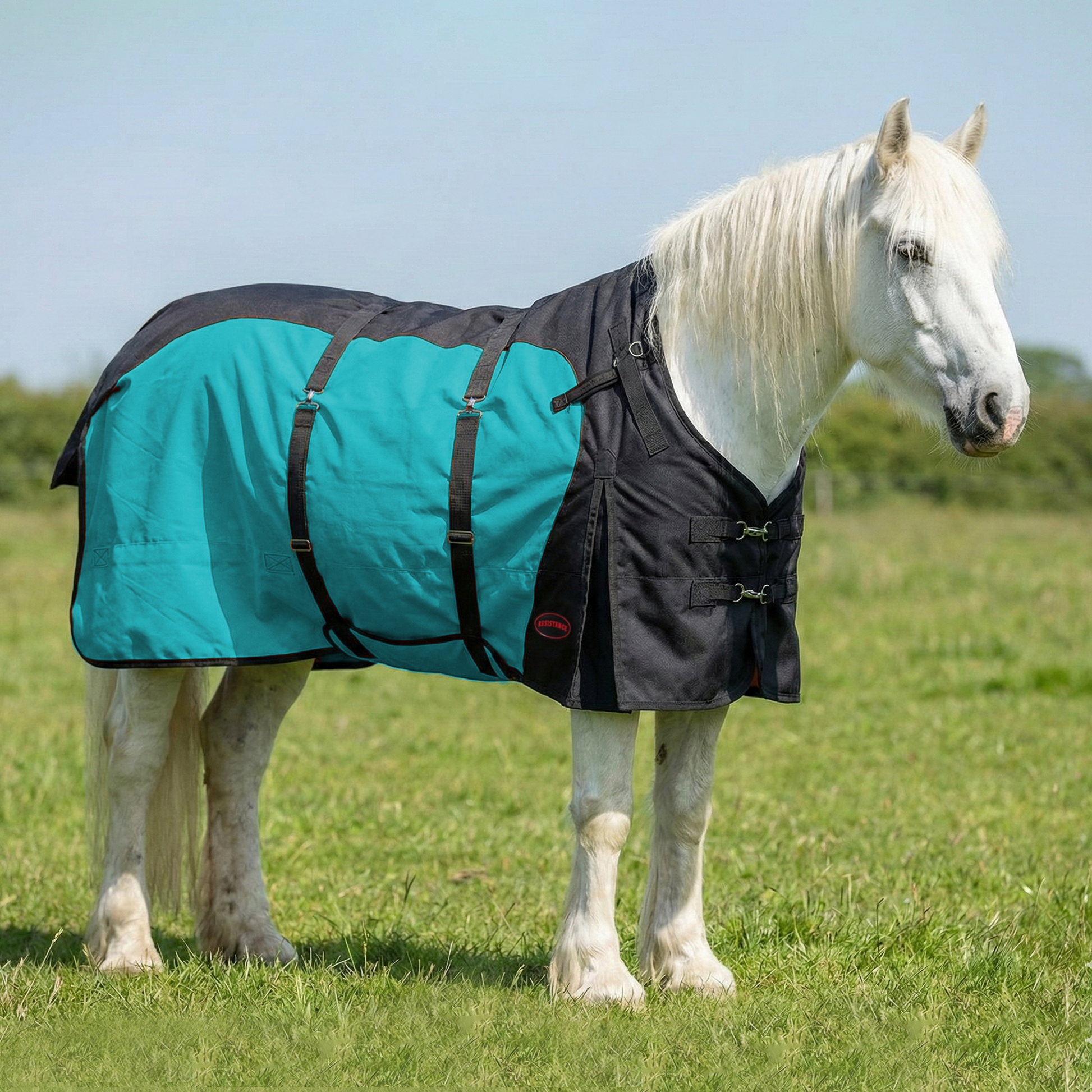 Resistance Premium 1200 Denier Belly Wrap Waterproof Horse Turnout Blanket - 300 Grams Fill NewEngland Tack