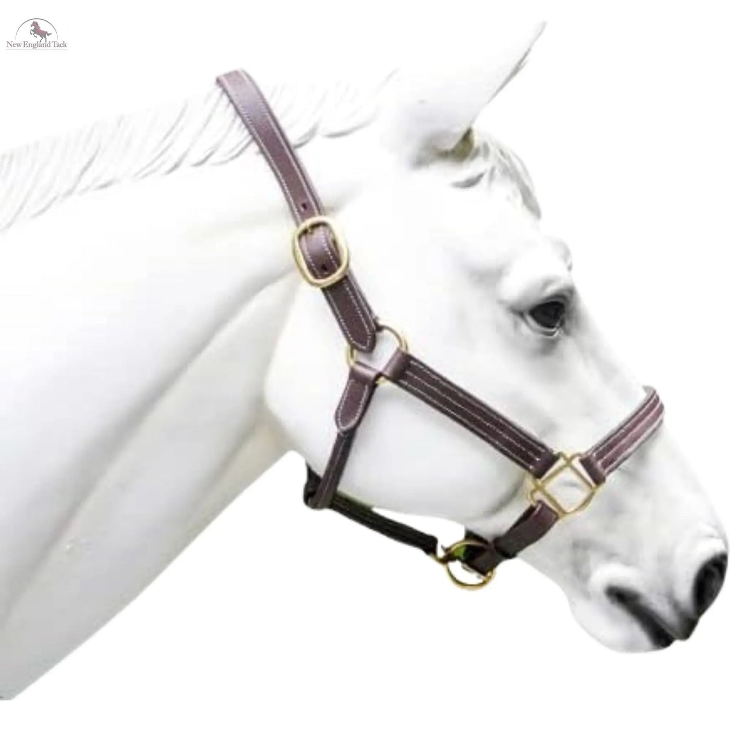 Triple Stitched Halter with Adjustable Chin and Nose, Handmade Double-ply Premium Quality Leather and Brass Hardware Black Brown Halter NewEngland Tack