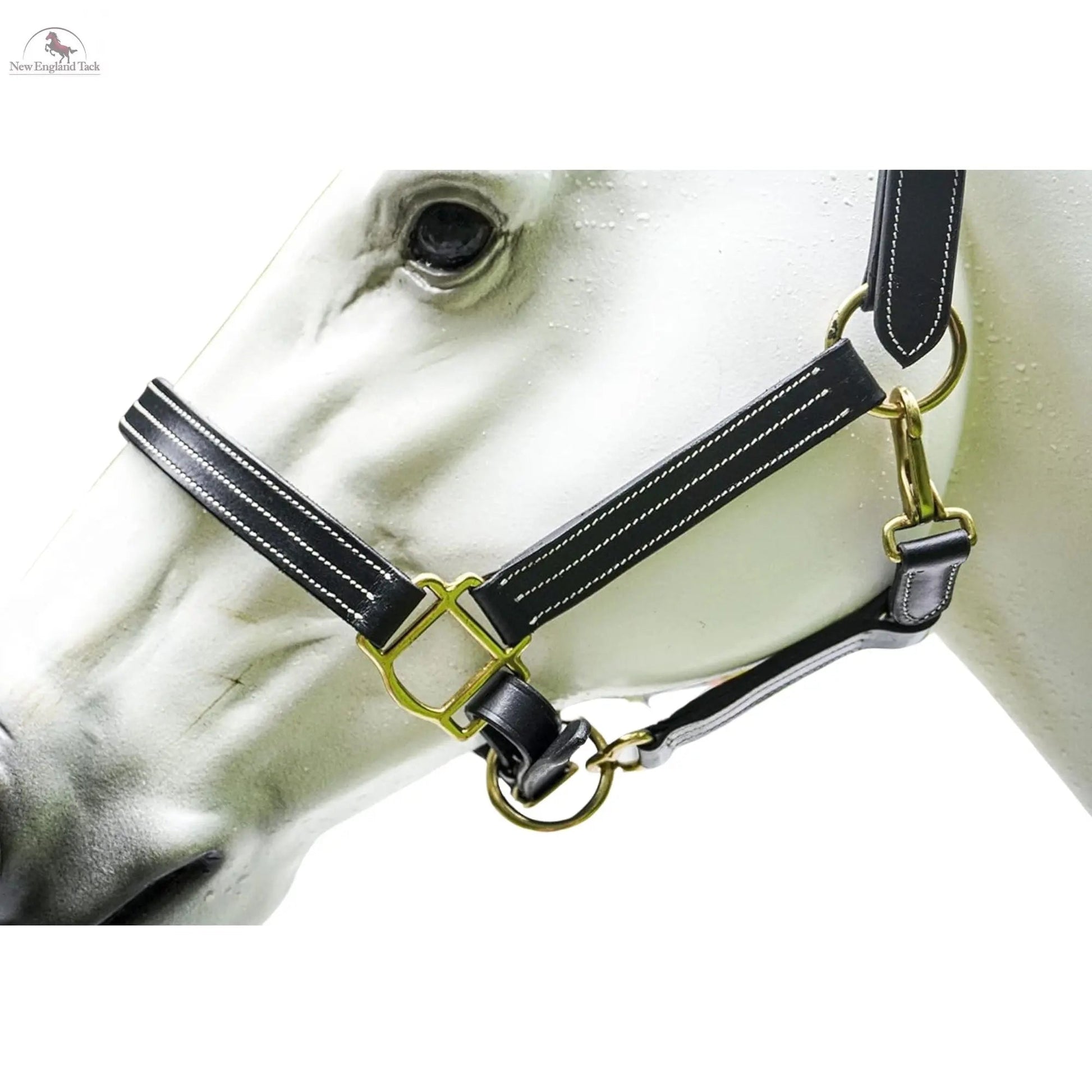 Triple Stitched Halter with Adjustable Chin and Nose, Handmade Double-ply Premium Quality Leather and Brass Hardware Black Brown Halter NewEngland Tack