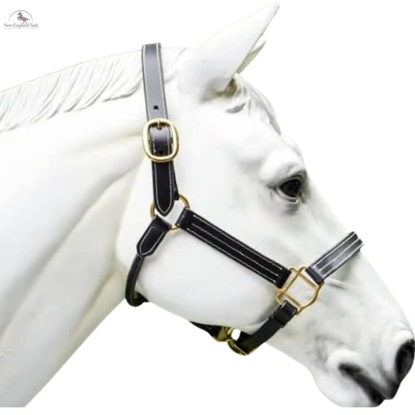 Triple Stitched Halter with Adjustable Chin and Nose, Handmade Double-ply Premium Quality Leather and Brass Hardware Black Brown Halter NewEngland Tack