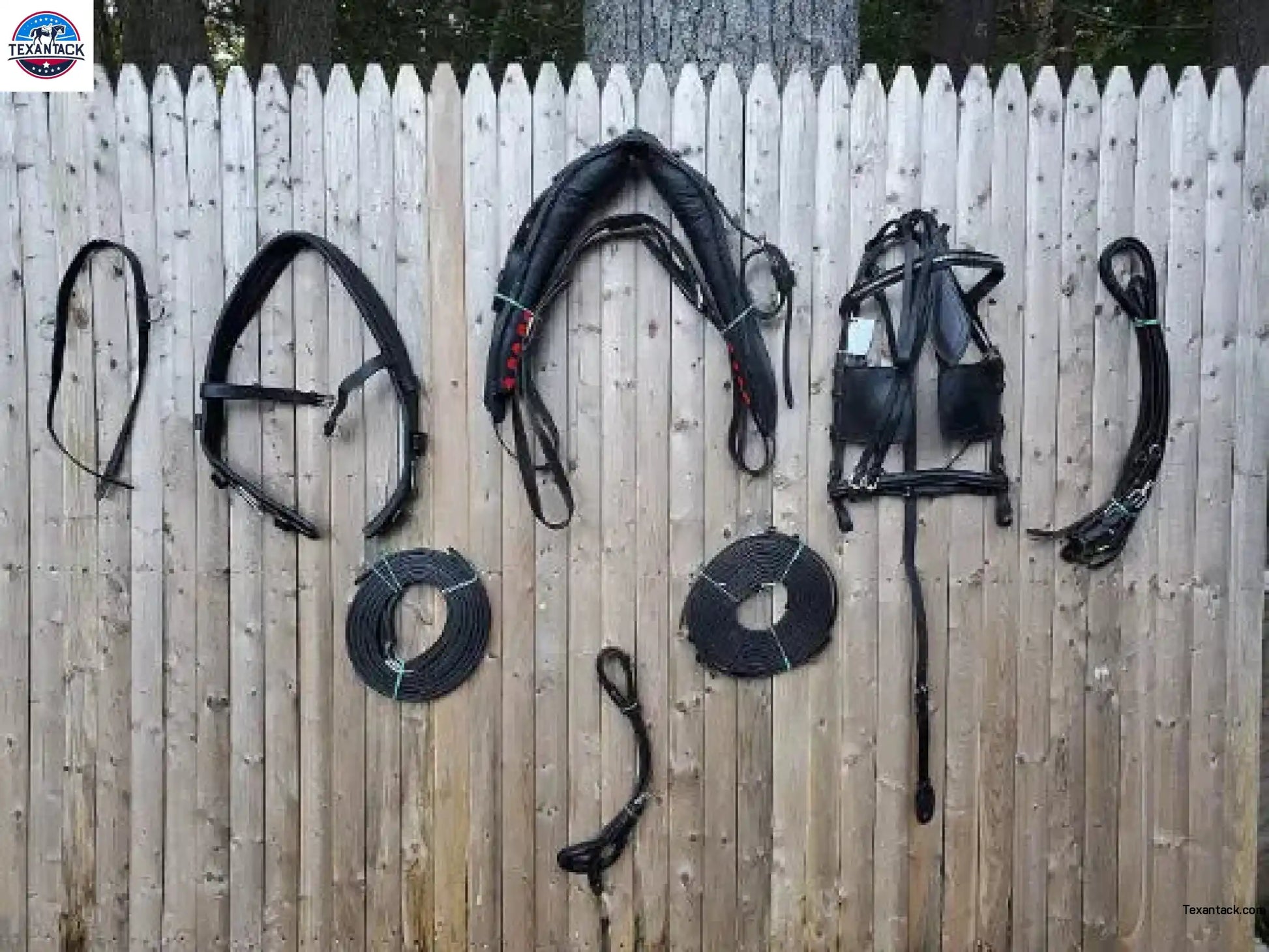 Black Full Size Horse Buffalo Leather Square Stud Browband Driving Harness Set NewEnglandTack