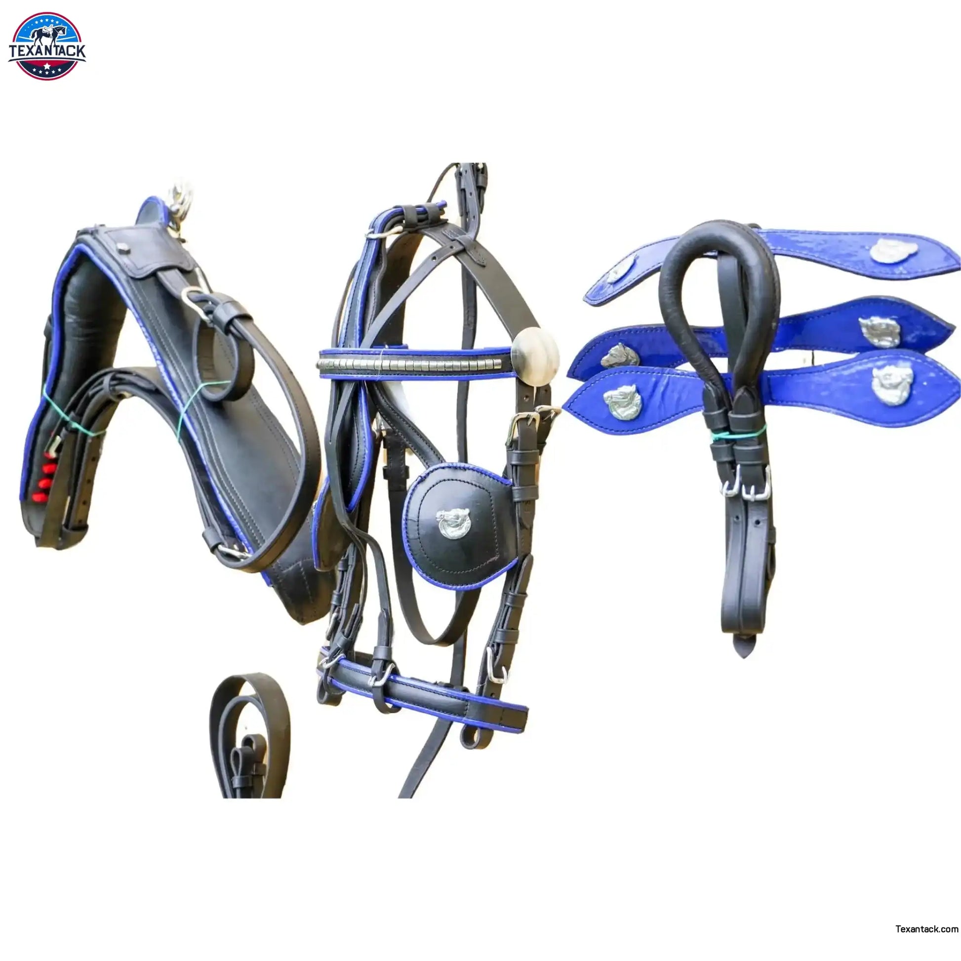 Black Horse Patent Leather Driving Harness Blue Trim Set Available In Miniature Small Pony Cob and Full Horse NewEnglandTack