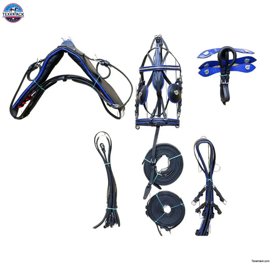 Black Horse Patent Leather Driving Harness Blue Trim Set Available In Miniature Small Pony Cob and Full Horse TEXANTACK