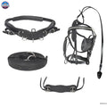 Diplomat Full-Size Horse Driving Harness Set - Premium Cow Softy Leather - Black NewEnglandTack