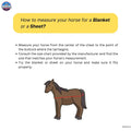Combo Mesh Sheet for Horses - Mosquito Protection, UV Blocking | Premium Quality
