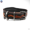 Handcrafted Argentinian Leather Dog Collar with Floral Tooling - Premium Quality NewEngland Tack