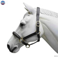 Leather Horse Halter Fancy Stitched - Brass Hardware NewEngland Tack