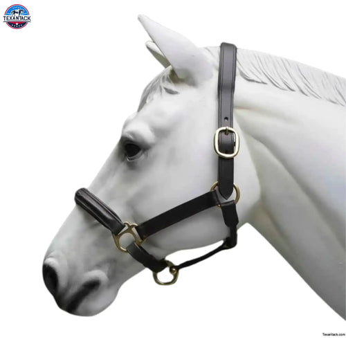 Leather Horse Halter Fancy Stitched - Brass Hardware