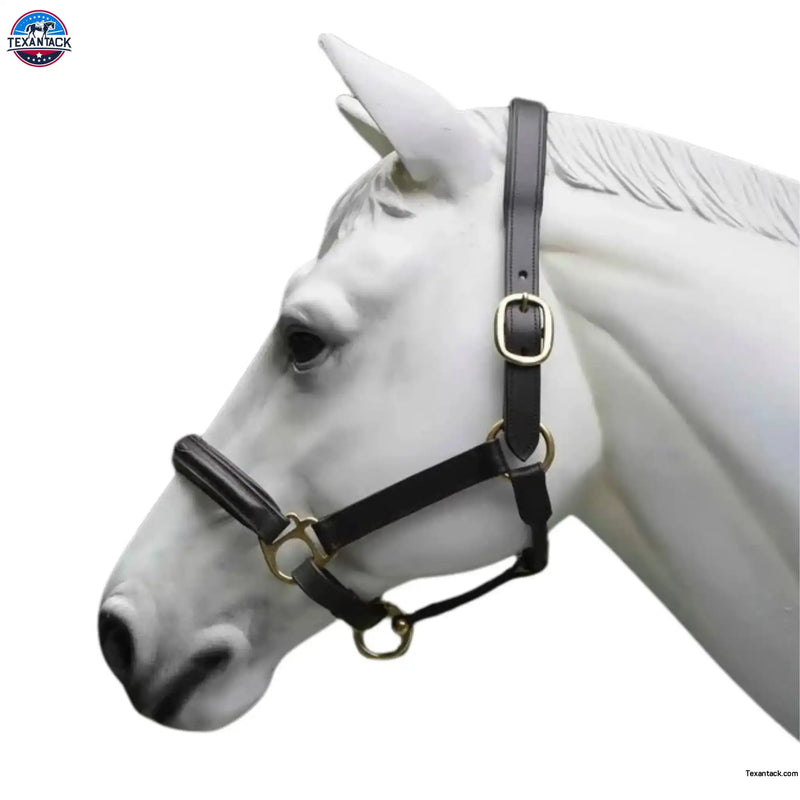 Leather Horse Halter Fancy Stitched - Brass Hardware NewEngland Tack