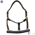 Leather Horse Halter Fancy Stitched - Brass Hardware NewEngland Tack