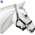 Leather Horse Halter Hand-Braided - SS Hardware NewEngland Tack