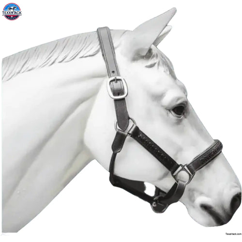 Leather Horse Halter Hand-Braided - SS Hardware