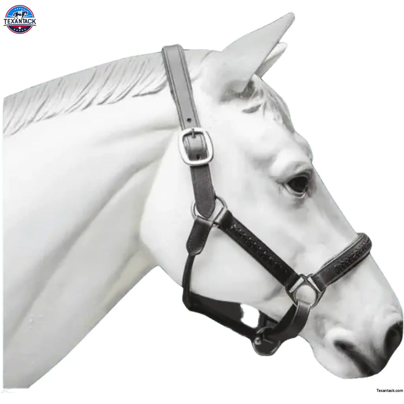 Leather Horse Halter Hand-Braided - SS Hardware NewEngland Tack