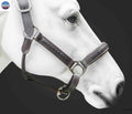 Leather Horse Halter Hand-Braided - SS Hardware - NewEngland Tack
