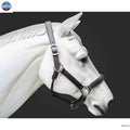 Leather Horse Halter Hand-Braided - SS Hardware - NewEngland Tack