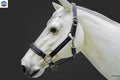 Leather Horse Halter Hand-Braided - SS Hardware - NewEngland Tack
