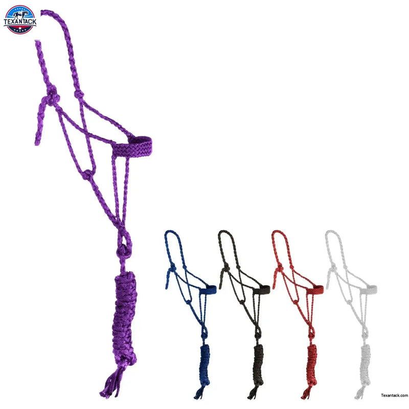 Mule Tape Halter with 10ft Lead NewEngland Tack