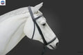 Plain Raised English Bridle - Premium Leather Quality with Stainless steel Hardware - NewEngland Tack