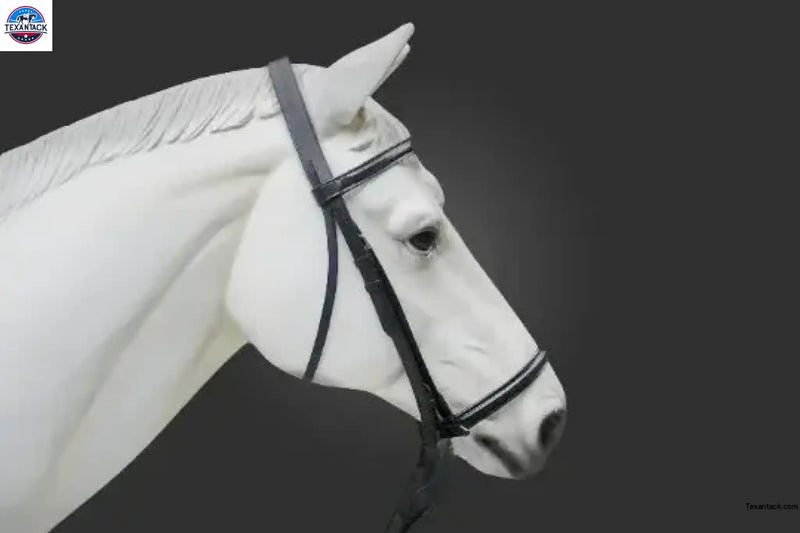 Plain Raised English Bridle - Premium Leather Quality with Stainless steel Hardware - NewEngland Tack