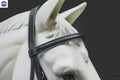 Plain Raised English Bridle - Premium Leather Quality with Stainless steel Hardware - NewEngland Tack