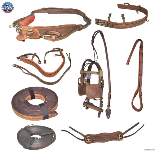 Premium Horse Gig Harness Full Size St Oily Cow Softy Leather with Brass Lacquer