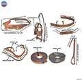 Premium Horse Harness - Full Size, Hand-Carved Leather, Stainless Steel Fittings NewEnglandTack