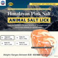 RESISTANCE Pink Himalayan Salt Lick Block with Rope for Horses, Cattle, Deer, Goats, and Livestock – (Each Block Weight 6 lbs) NewEngland Tack